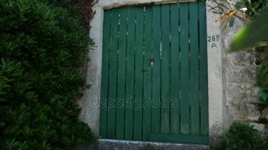 Yeşil kapı. Ahşap doku. Eski püskü, ışınlanmış boya