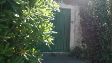 Yeşil kapı. Ahşap doku. Eski püskü, ışınlanmış boya