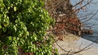 Deniz beton iskelede. Dalgalar yıkanır