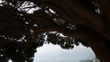 Sveti Stefan Adası, görünümü Crvena Glavica plaj. Mont