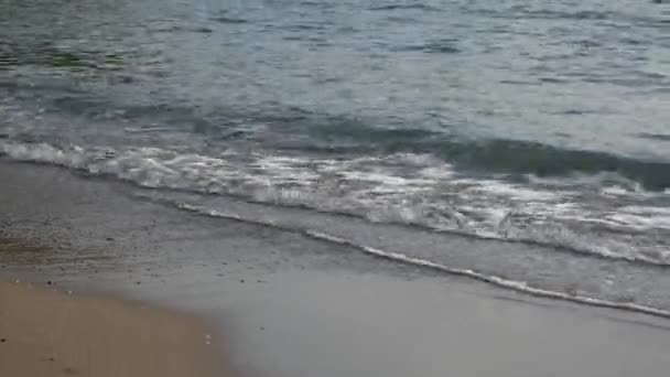 Sandy beach och vågor, närbild. Konsistens av sand och vatten. PICT — Stockvideo