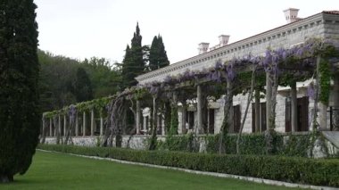 Park Milocer, Villa, Kraliçe plaj. Sveti Stefan Adası yakınlarında