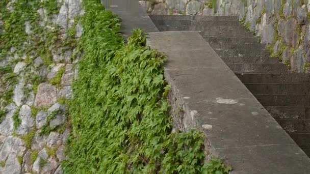 Escaleras de piedra en Montenegro, en Park Milocer, Sveti Stefan . — Vídeo de stock