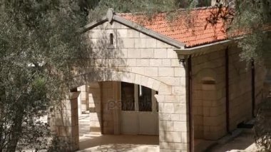 Bir zeytin Grove House. House ile döşenmiş çatı