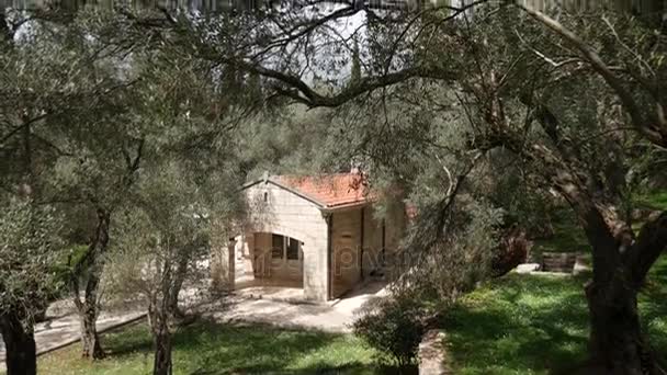 Будинок в оливковому гаю. Будинок з черепичним дахом — стокове відео
