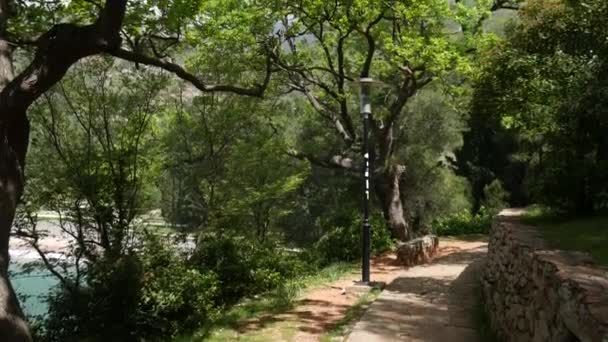 O caminho na floresta. A estrada que atravessa a floresta, o — Vídeo de Stock