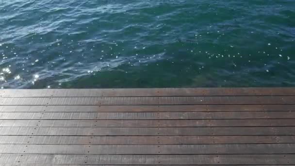 Wooden pier. Half of the frame is a tree, the second half is wat — Stock Video