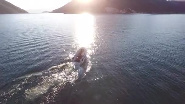 海を走って高速でディンギーを高速化します。モンのコトル湾 — ストック動画