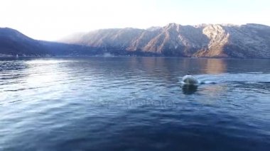 Sandal denize yelken yüksek hızda hız. Kotor Koyu'ndaki Mont içinde