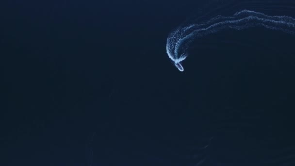 Ταχύτητα λέμβο στο υψηλής ταχύτητας πλέουν στη θάλασσα. Κόλπος Κότορ σε Μον — Αρχείο Βίντεο