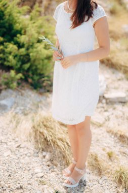 Zeytin dalı kadın elinde. Eller gelinin. Düğün Pzt