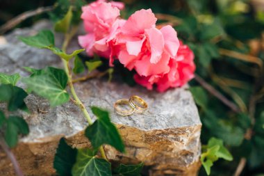 Çim, sarmaşık ve zakkum branc taş alyans
