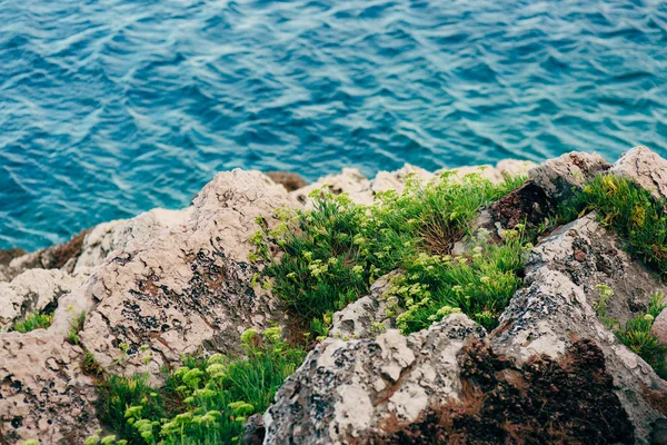 Skały Nad Morzem Czarnogórze Skaliste Wybrzeże Dzika Plaża Niebezpieczne Wybrzeże — Zdjęcie stockowe