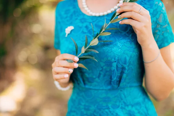 Olive branch in vrouwelijke handen. Handen van de bruid. Bruiloft in ma — Stockfoto