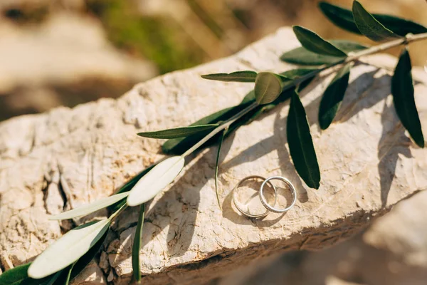 Anillos de boda en la piedra y la rama de olivo — Foto de Stock