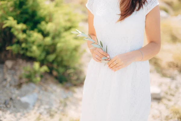 Olive branch in female hands. Hands of the bride. Wedding in Mon — Stock Photo, Image