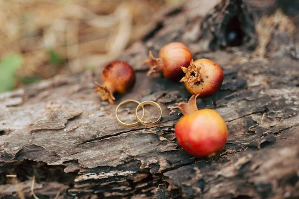 Anillos de boda en el fruto de la granada. Granada roja madura — Foto de Stock