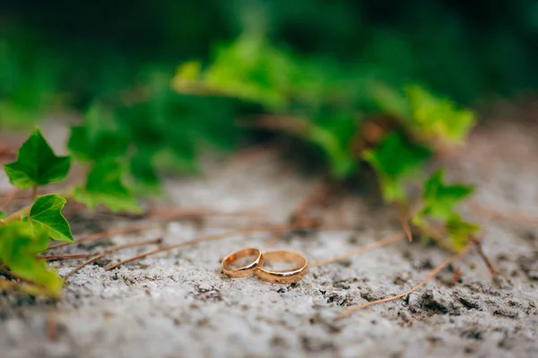 在常春藤的结婚戒指 — 图库照片
