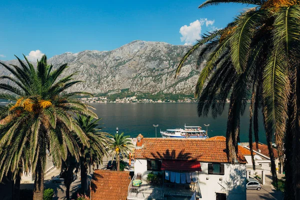 Turist båt i havet. Fjärden av Kotor — Stockfoto