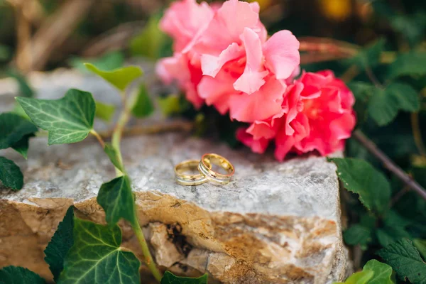 Anéis de casamento nas pedras na grama, hera e branc oleandro — Fotografia de Stock