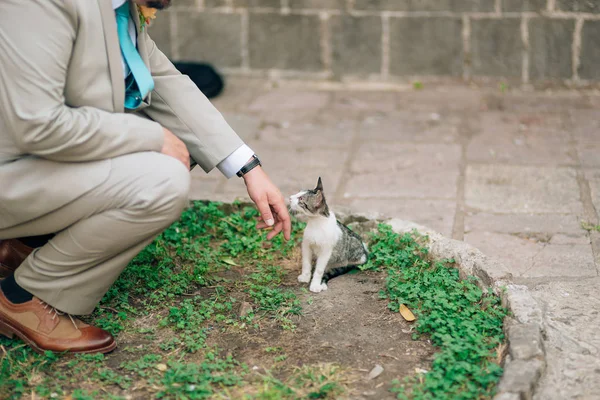 Un uomo in giacca e cravatta accarezzare un gatto per strada — Foto Stock