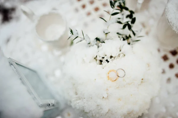 Anillos de bodas de recién casados en la nieve. Compromiso anillos de oro —  Fotos de Stock