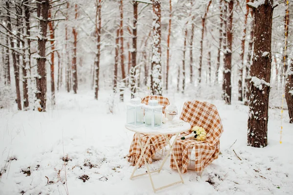 Piknik v zimním lese — Stock fotografie