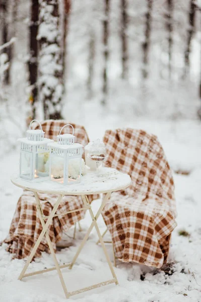 Picnic en el bosque de invierno — Foto de Stock