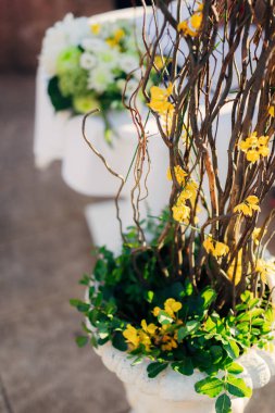 Düğün töreninde çiçek kompozisyonlar