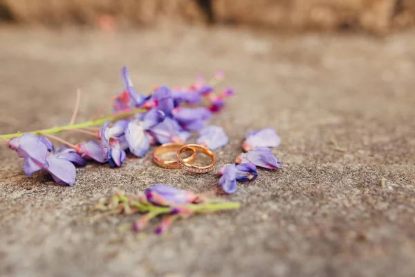 Anillos de boda en las piedras en la hierba —  Fotos de Stock