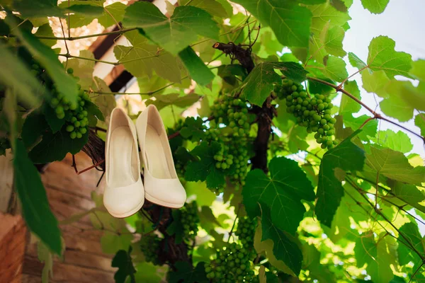 Bruiden schoenen liggen op het groene gras — Stockfoto