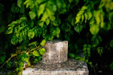 Alyans çim taşları üzerinde