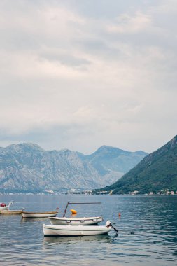 Yat ve tekne Adriyatik Denizi'nde