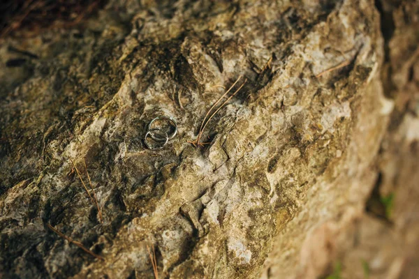 Trauringe auf den Steinen im Gras — Stockfoto