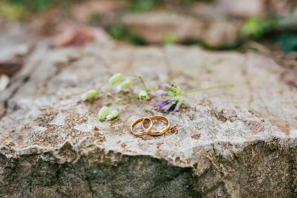 Весільні кільця на каменях у траві — стокове фото