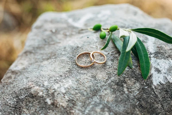 Anillos de boda en las piedras en la hierba — Foto de Stock