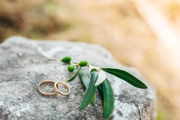 Esküvő gyűrű a köveket a fűben — Stock Fotó