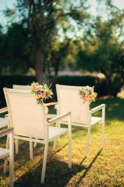 Düğün töreni için sandalye