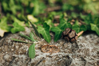 Alyans çim taşları üzerinde