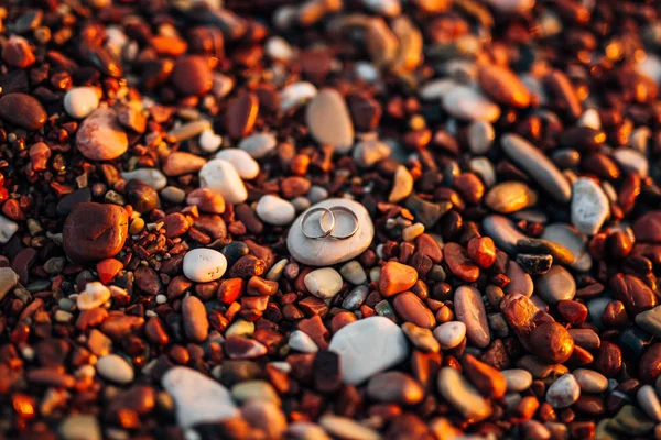 Wedding rings of newlyweds on beach pebbles — Stock Photo, Image