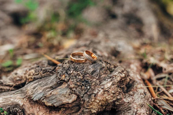 在橄榄树的线程上的结婚戒指 — 图库照片