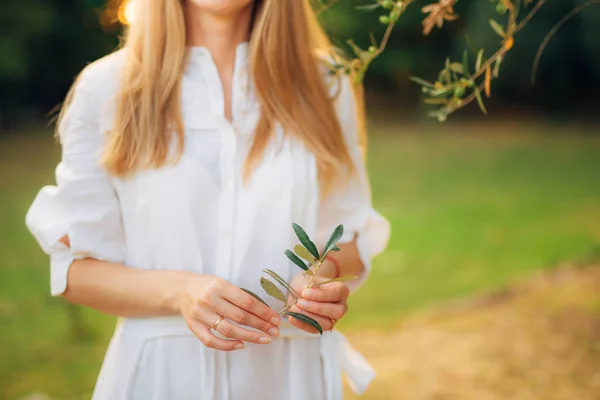 Оливковая ветвь в нежных женских руках — стоковое фото