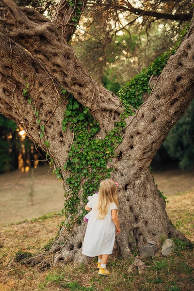 Flicka promenader i skogen — Stockfoto