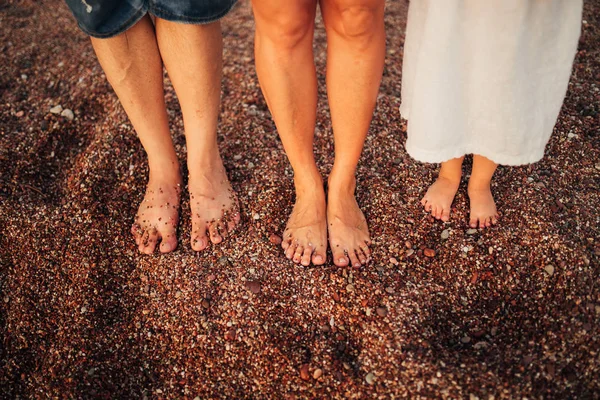 Niños piernas y pies de los padres. La familia camina por la playa —  Fotos de Stock