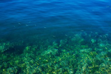 Su doku. Şeffaf masmavi deniz suyu