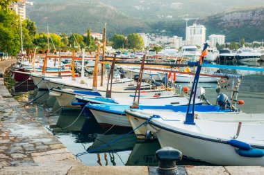 Yat ve tekne Adriyatik Denizi'nde