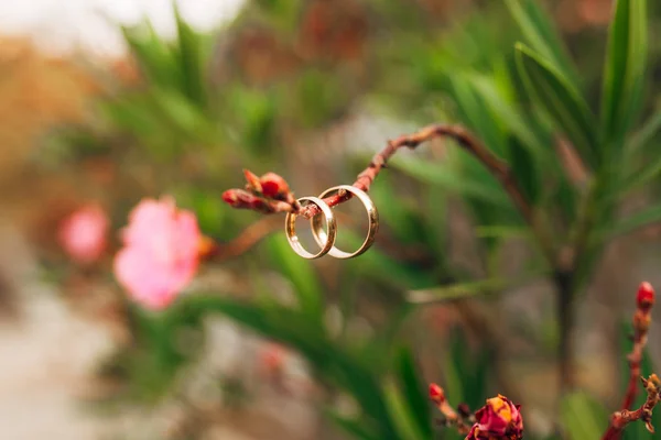 Anillos de boda de oro — Foto de Stock