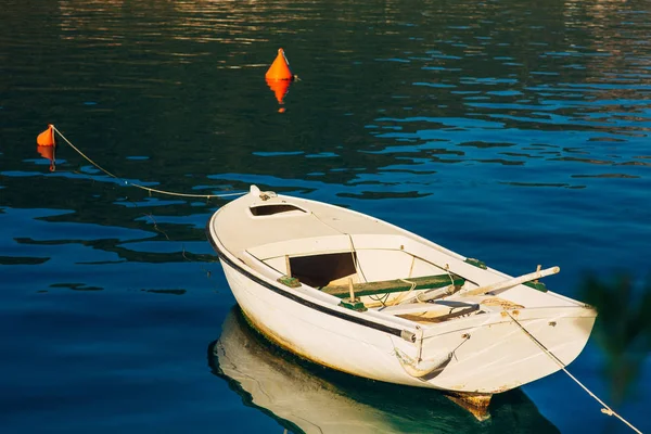 游艇和小船在亚德里亚海 — 图库照片