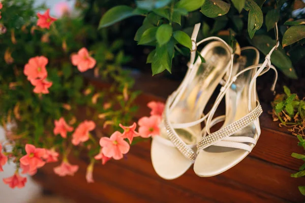 Zapatos de novias se encuentran en la hierba verde —  Fotos de Stock