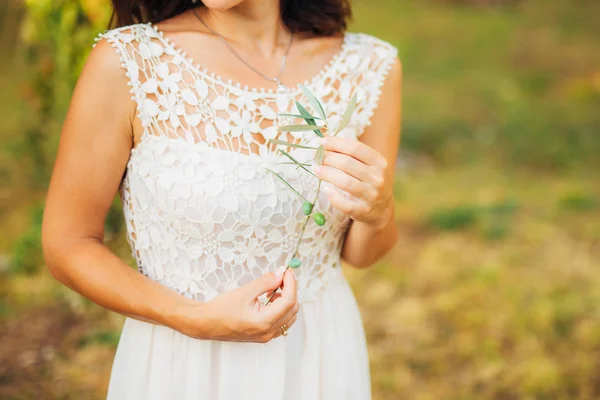 Olive branch in tedere vrouwelijke handen — Stockfoto